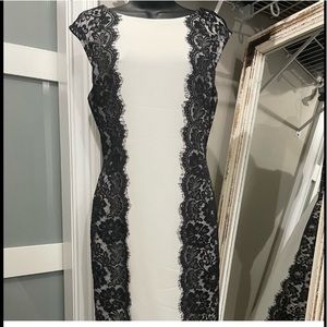 White House black market sleeveless sheath dress